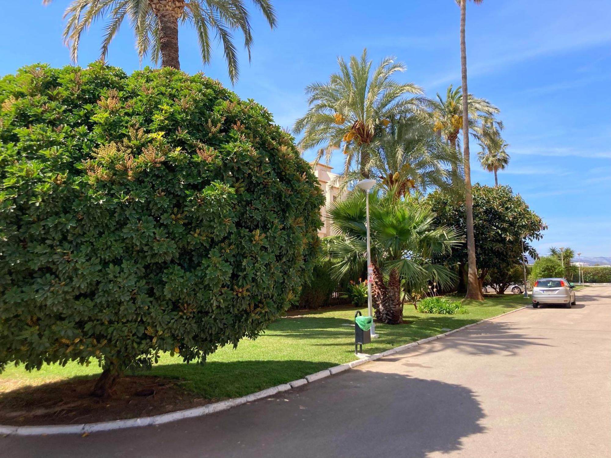 Apartamento Javea Arenal Playa Exterior foto